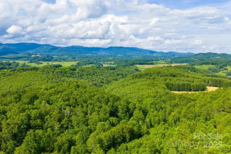 Tbd Phipps Dairy Road Piney Creek NC 28663