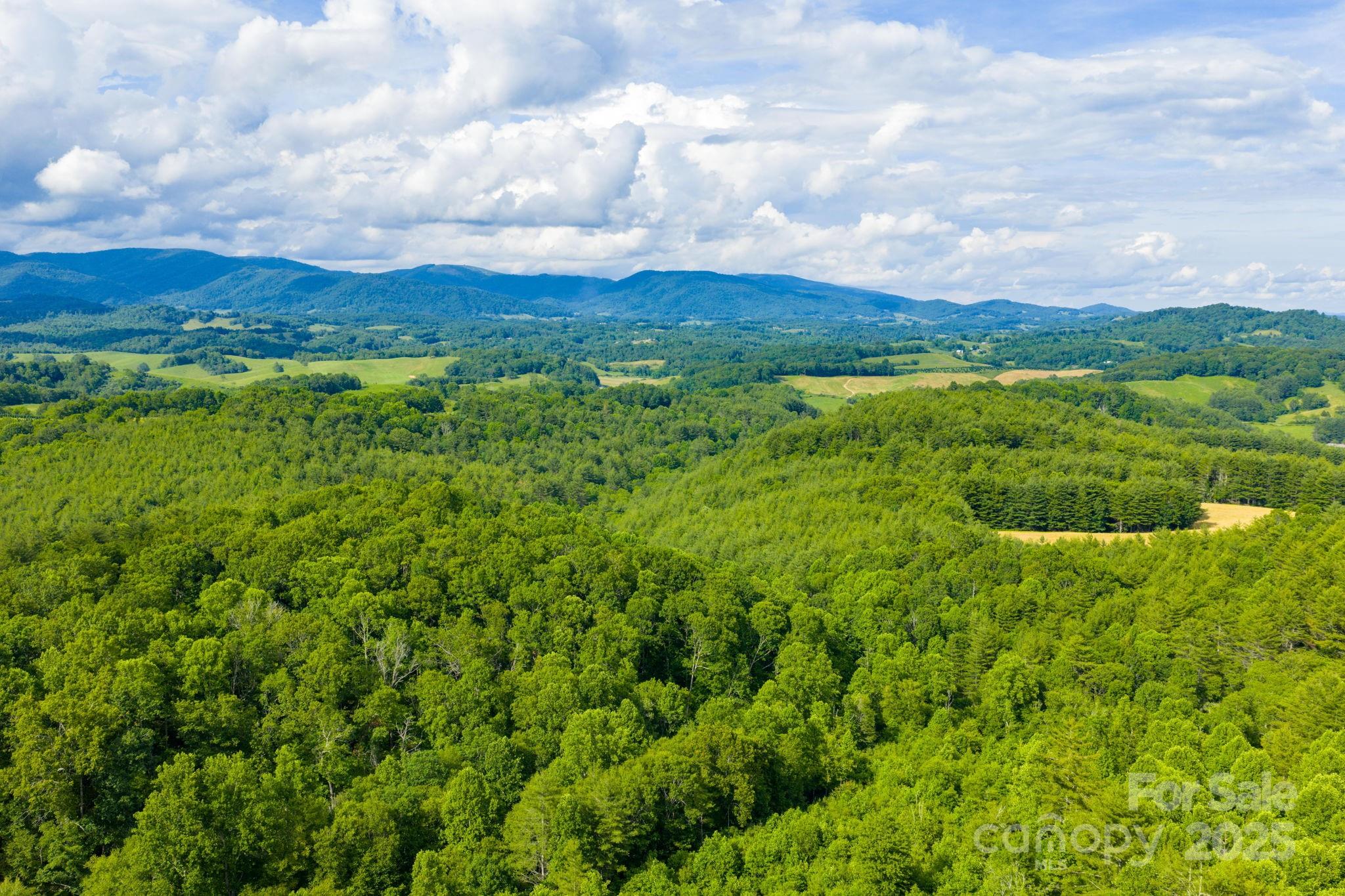 Tbd Phipps Dairy Road Piney Creek NC 28663