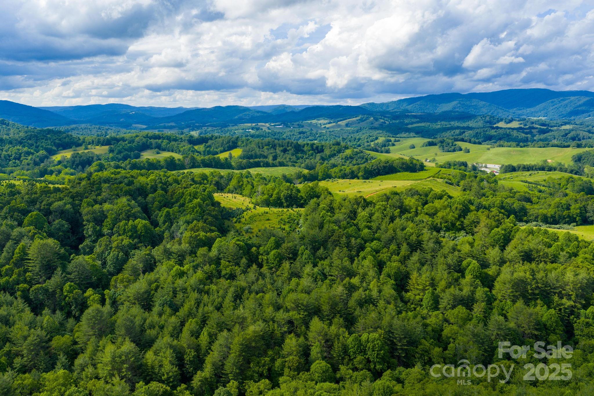 Tbd Phipps Dairy Road Piney Creek NC 28663