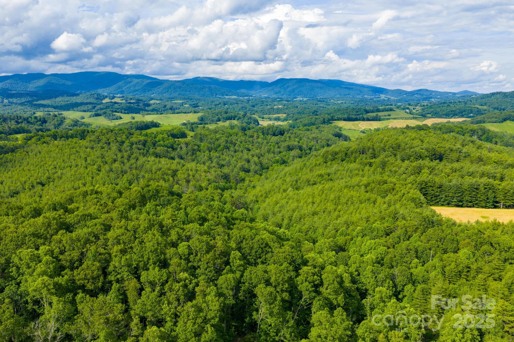 Tbd Phipps Dairy Road Piney Creek NC 28663