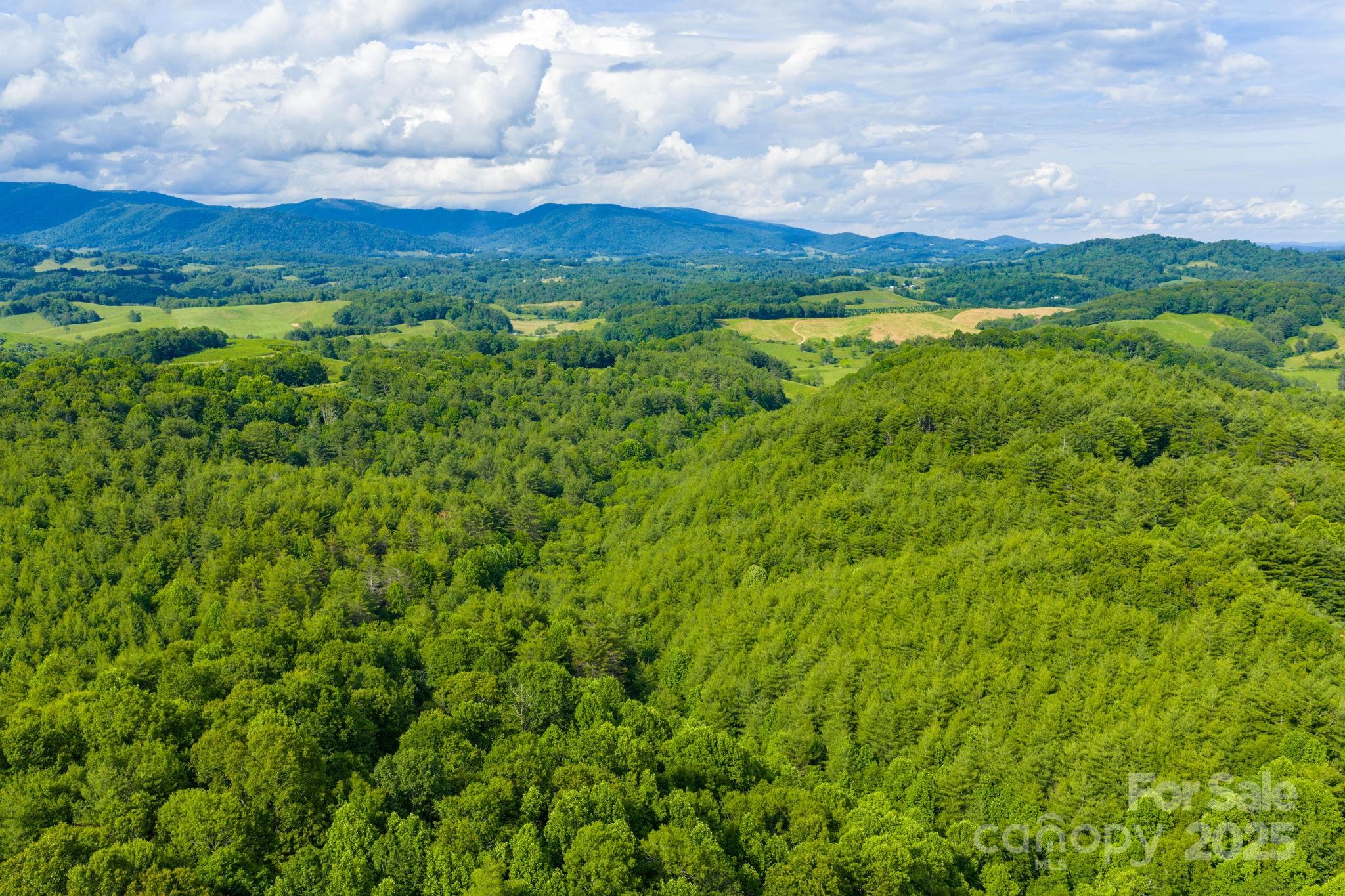 Tbd Phipps Dairy Road Piney Creek NC 28663
