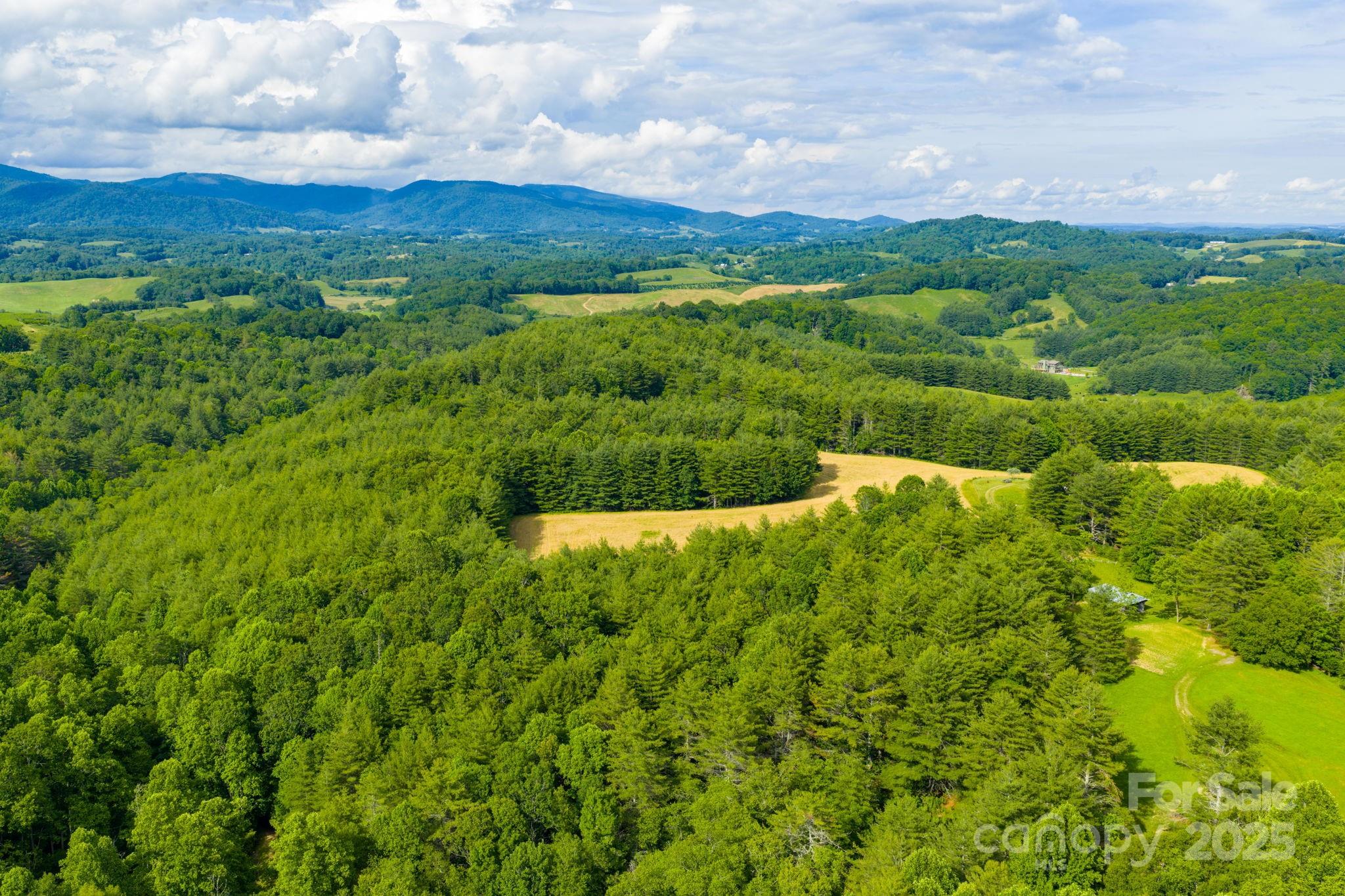 Tbd Phipps Dairy Road Piney Creek NC 28663