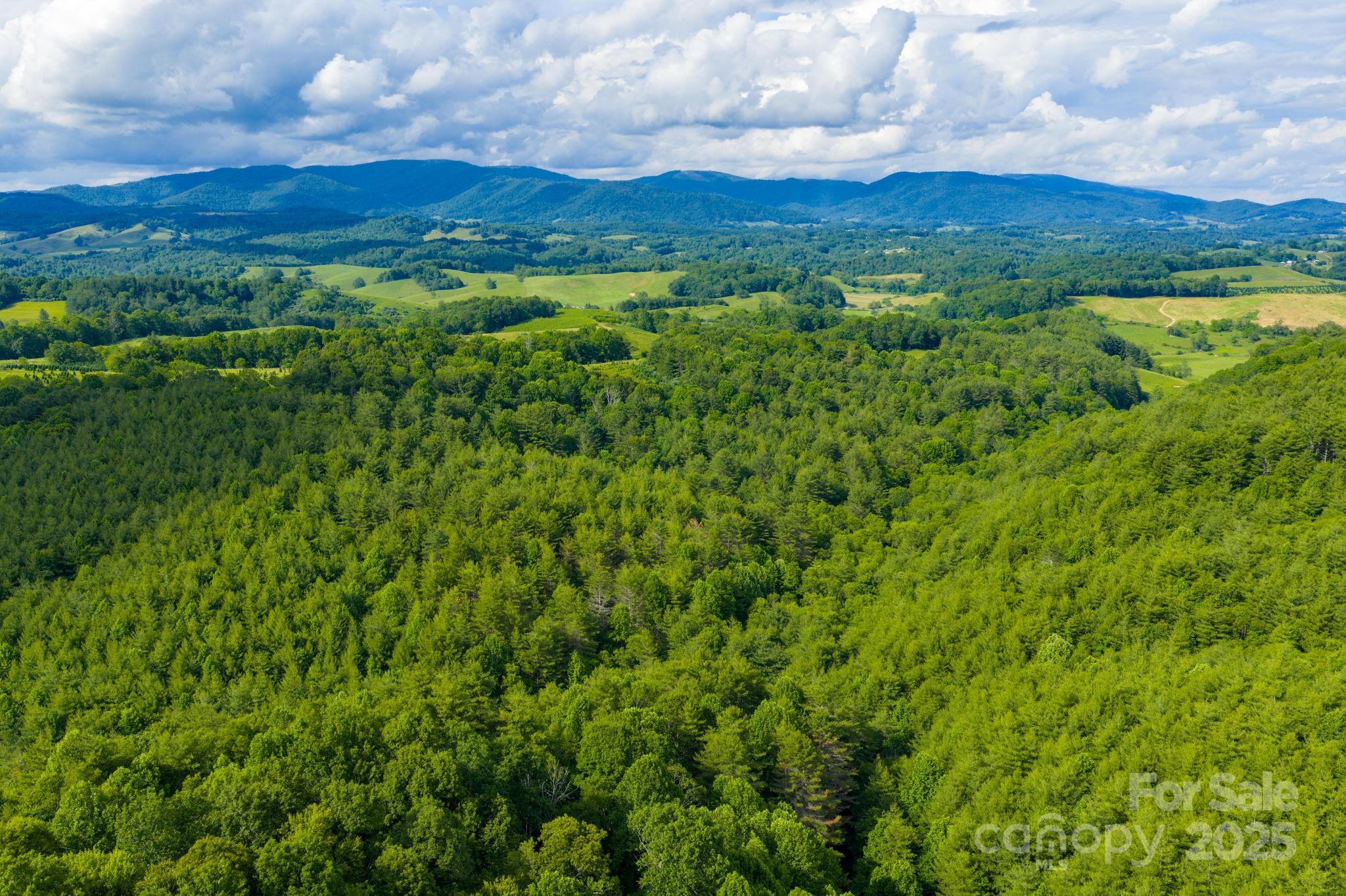 Tbd Phipps Dairy Road Piney Creek NC 28663