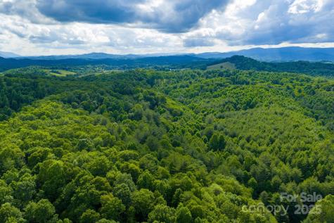 Tbd Phipps Dairy Road Piney Creek NC 28663