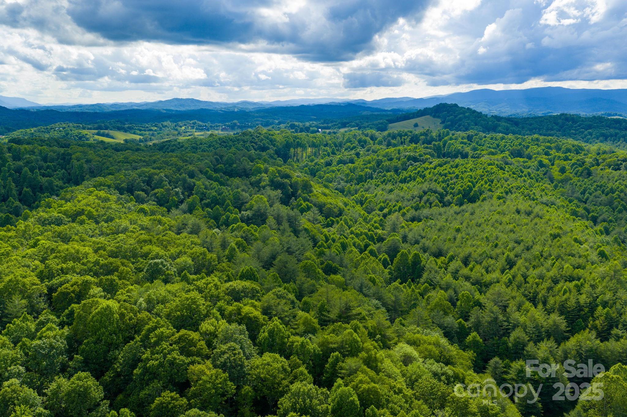 Tbd Phipps Dairy Road Piney Creek NC 28663