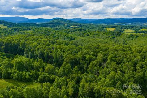 Tbd Phipps Dairy Road Piney Creek NC 28663