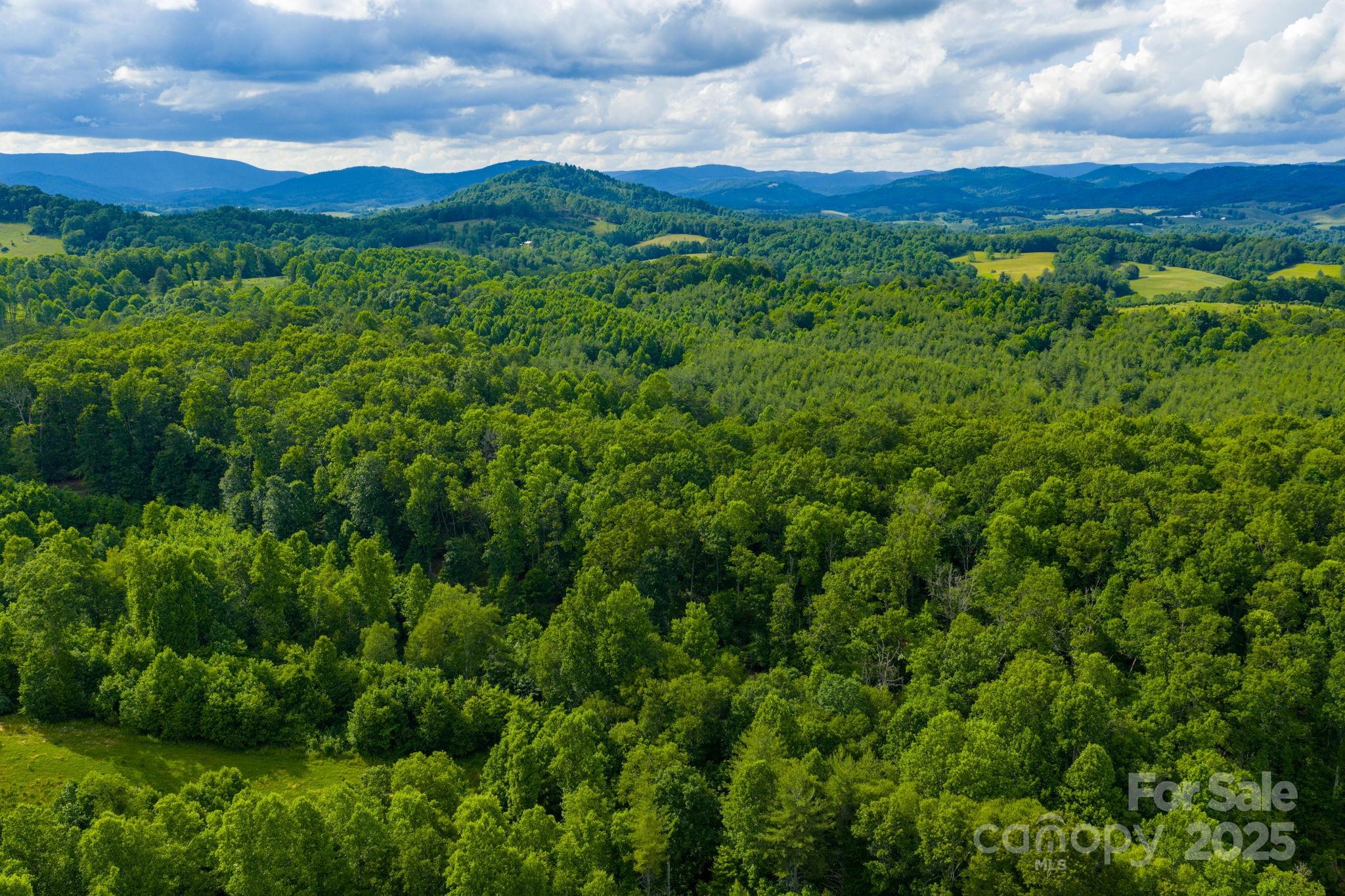 Tbd Phipps Dairy Road Piney Creek NC 28663