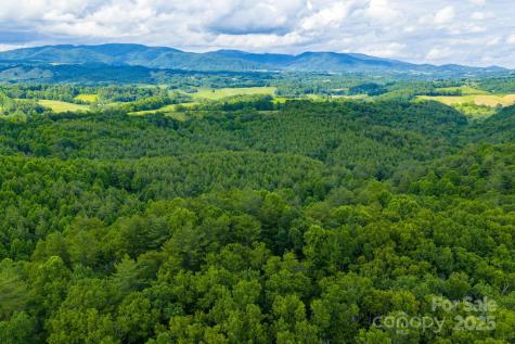Tbd Phipps Dairy Road Piney Creek NC 28663