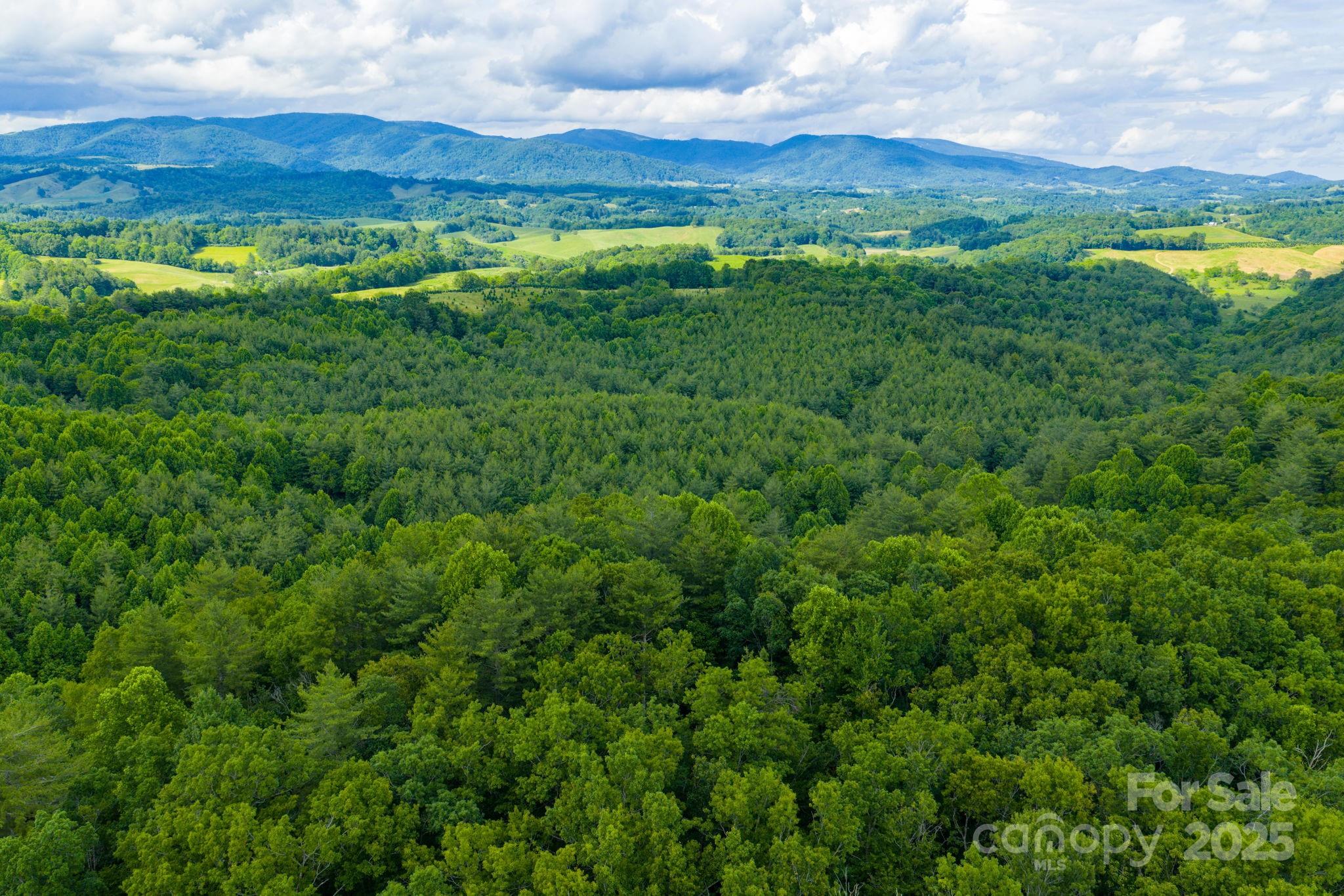 Tbd Phipps Dairy Road Piney Creek NC 28663