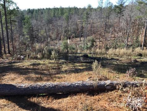2072 Snowmass Drive Connelly Springs NC 28612
