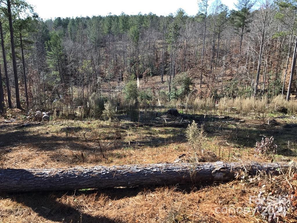2072 Snowmass Drive Connelly Springs NC 28612