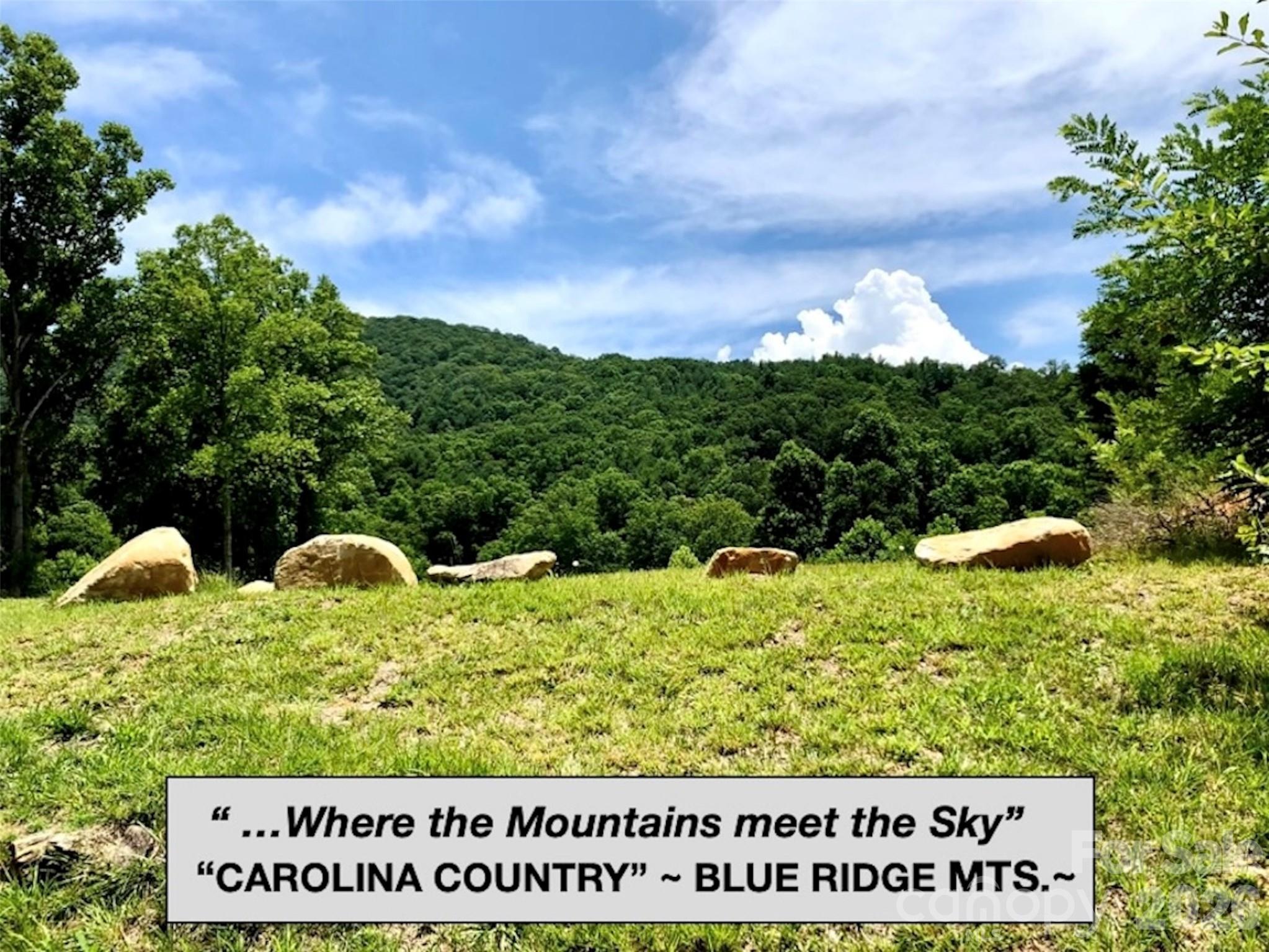 32 Camsyn Drive Weaverville NC 28787