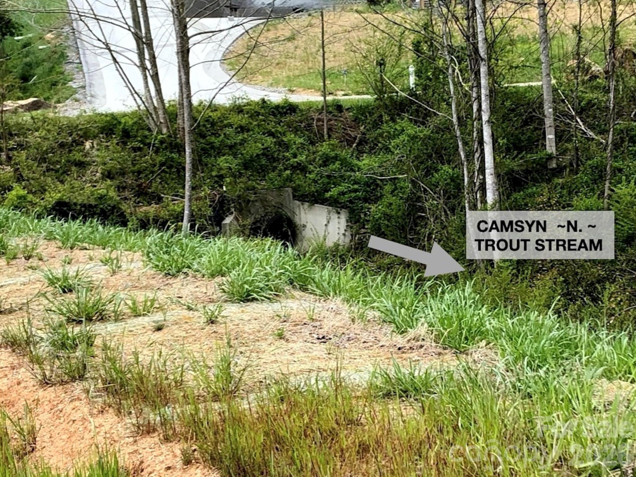 32 Camsyn Drive Weaverville NC 28787
