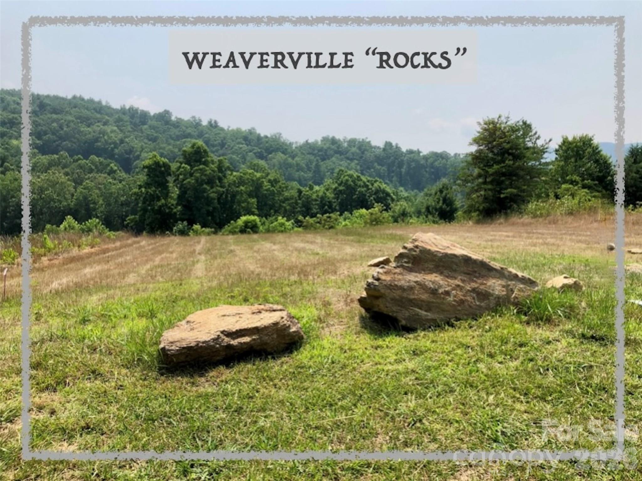 32 Camsyn Drive Weaverville NC 28787