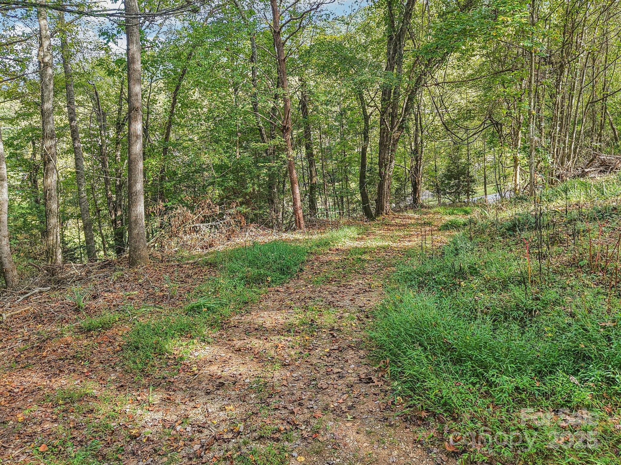 Tbd Upper Glady Fork Road Candler NC 28715