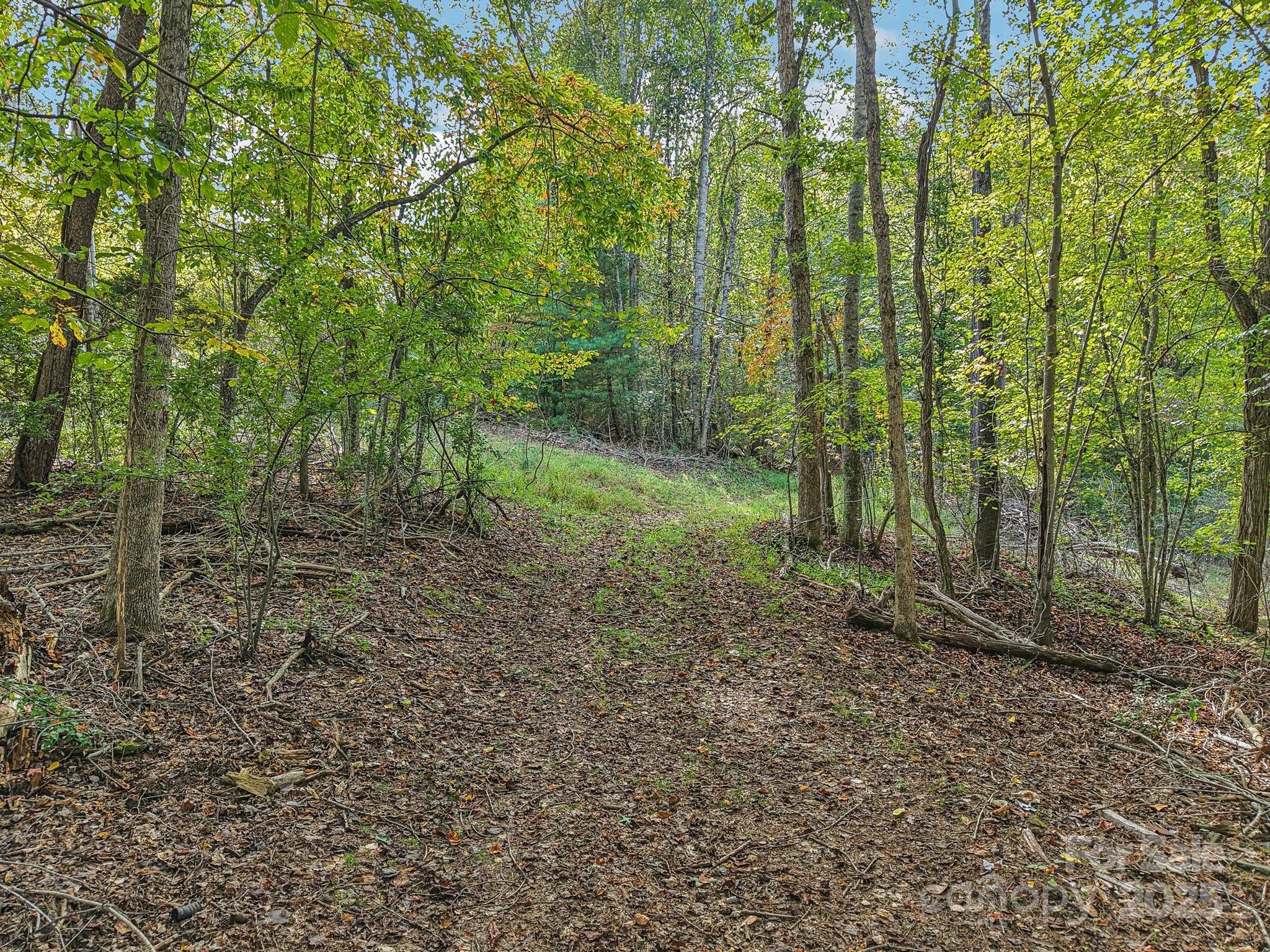 Tbd Upper Glady Fork Road Candler NC 28715
