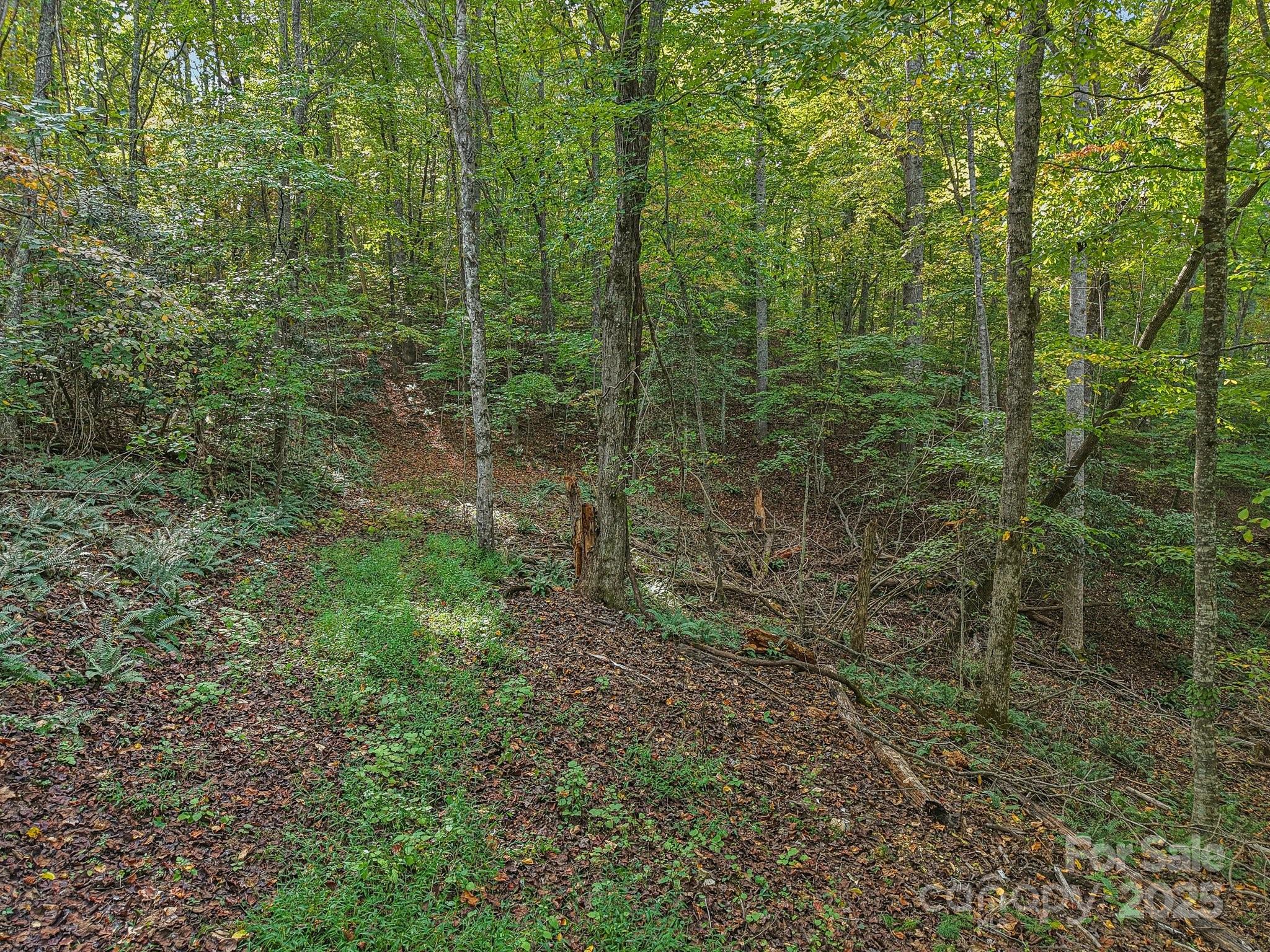 Tbd Upper Glady Fork Road Candler NC 28715