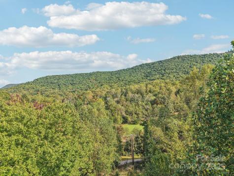 Tbd Upper Glady Fork Road Candler NC 28715