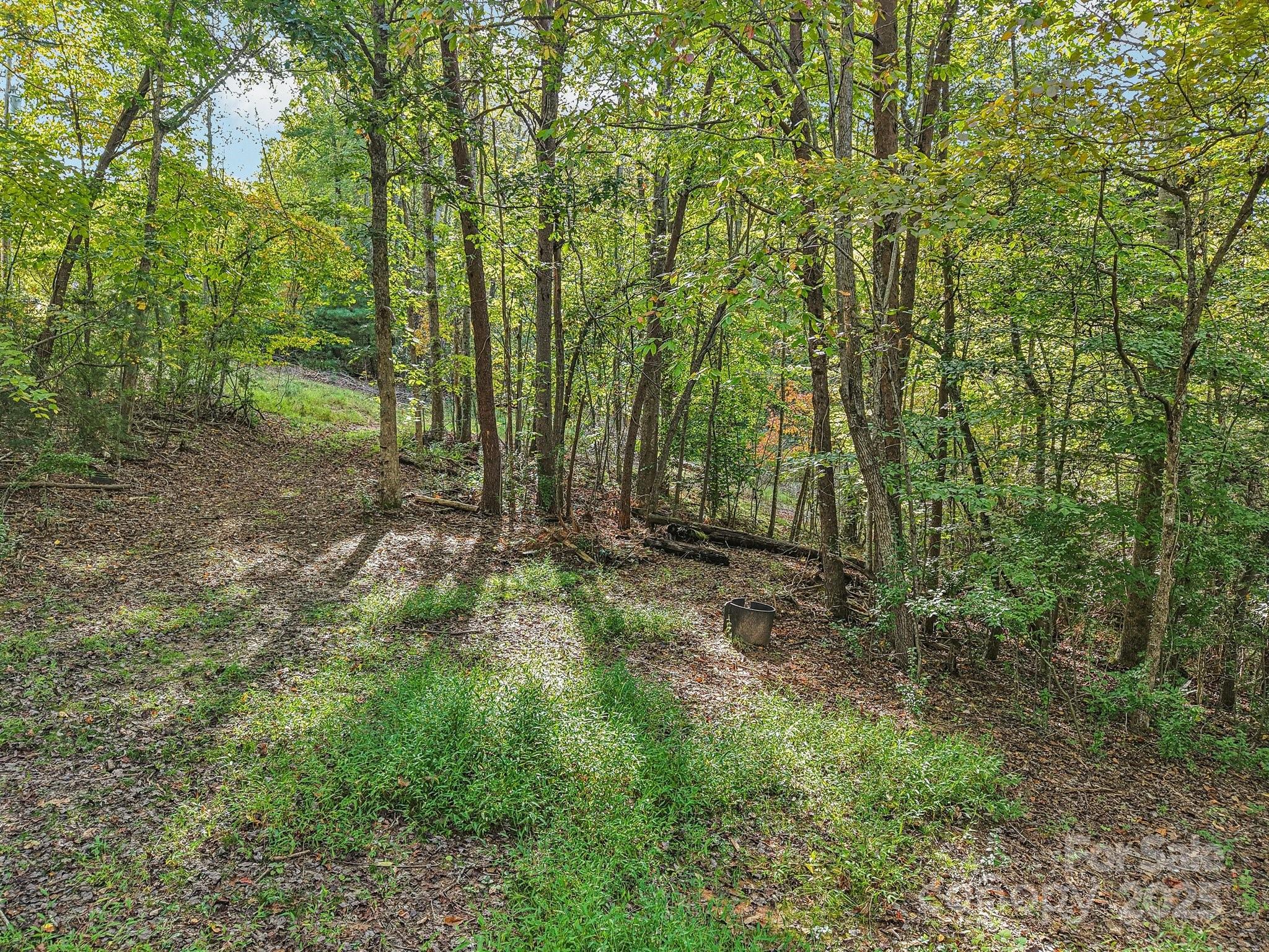 Tbd Upper Glady Fork Road Candler NC 28715