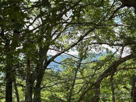 Lot 34 N Oakwood Drive Marion NC 28752
