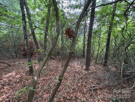 Lot 34 N Oakwood Drive Marion NC 28752