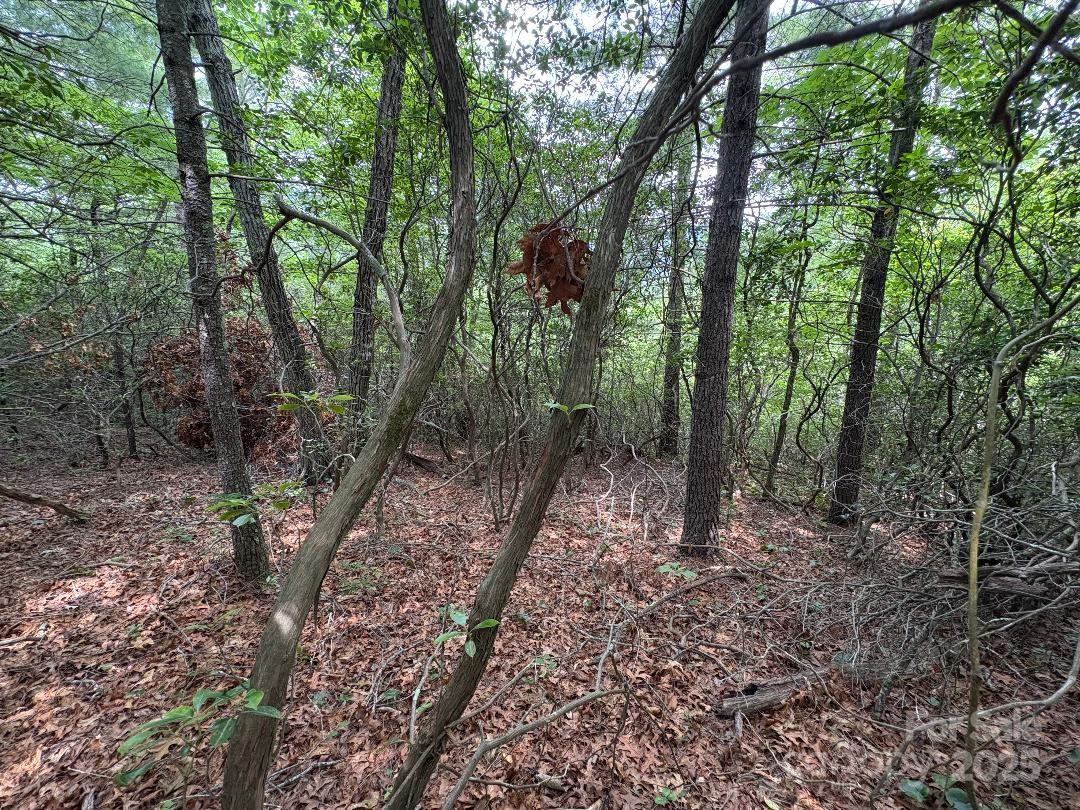 Lot 34 N Oakwood Drive Marion NC 28752