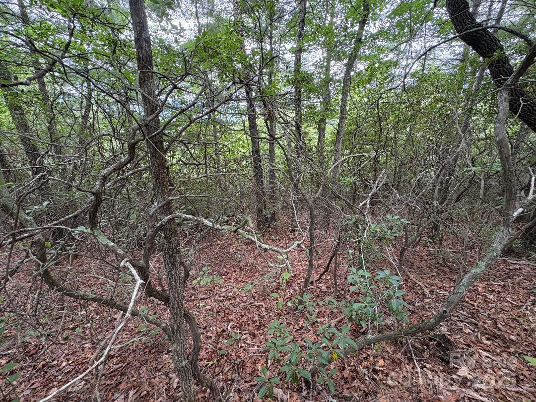 Lot 34 N Oakwood Drive Marion NC 28752