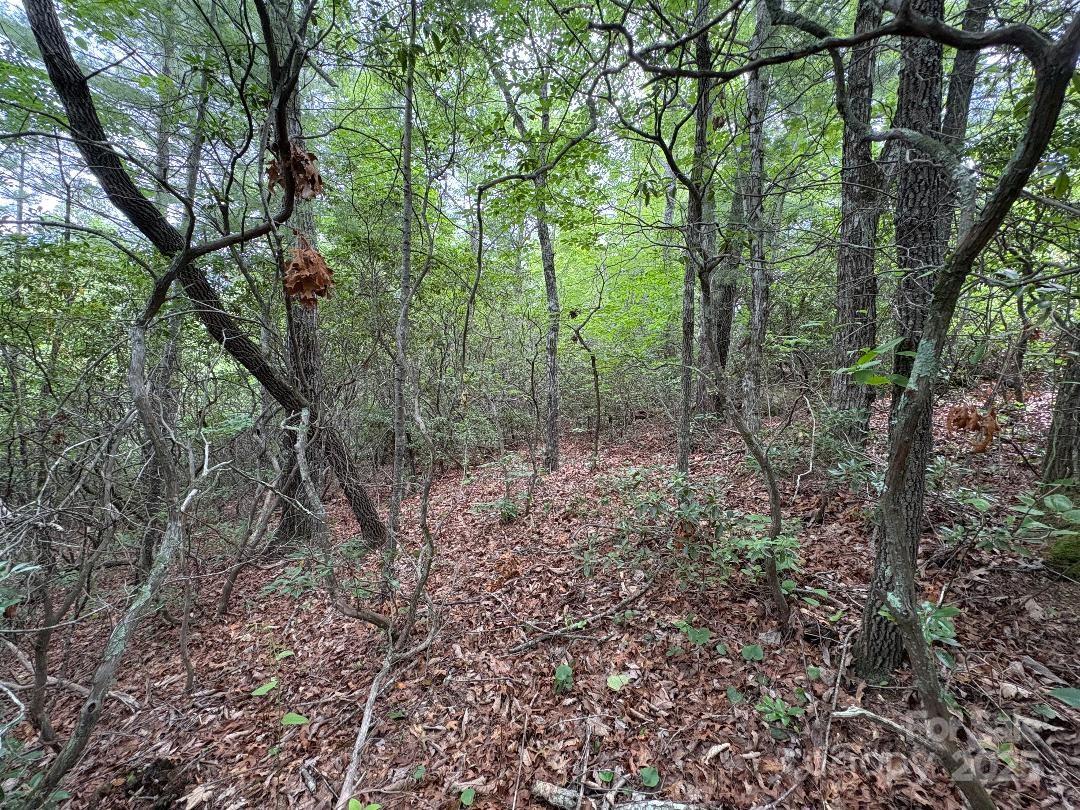 Lot 34 N Oakwood Drive Marion NC 28752