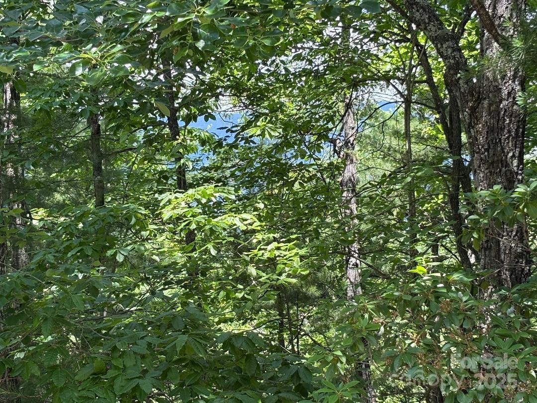 Lot 34 N Oakwood Drive Marion NC 28752