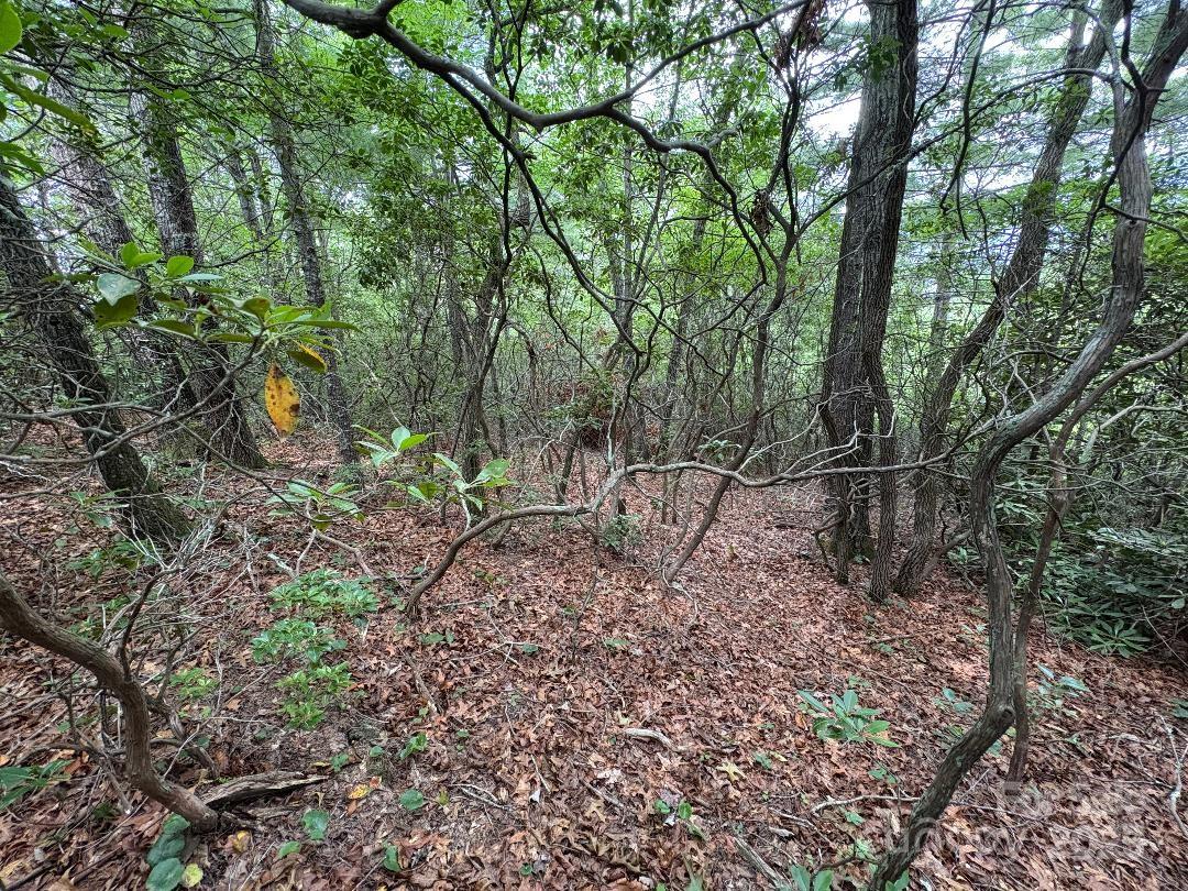 Lot 34 N Oakwood Drive Marion NC 28752
