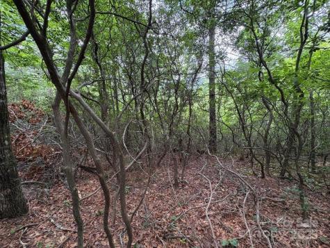 Lot 34 N Oakwood Drive Marion NC 28752