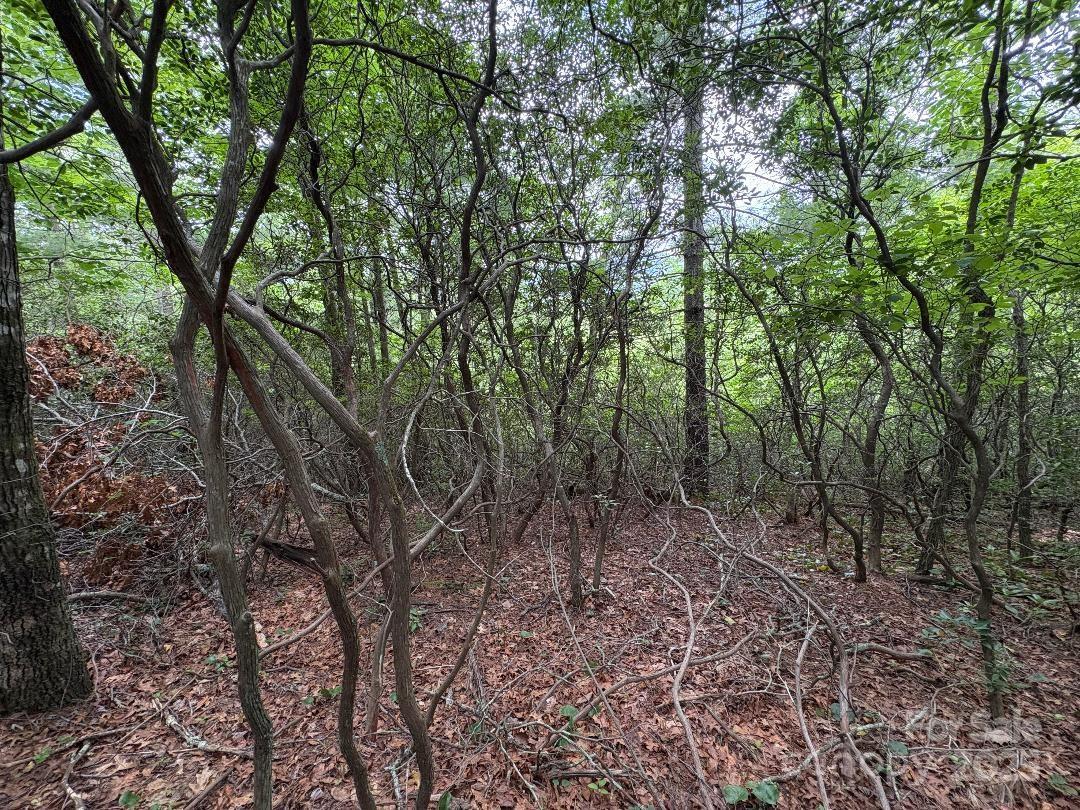 Lot 34 N Oakwood Drive Marion NC 28752