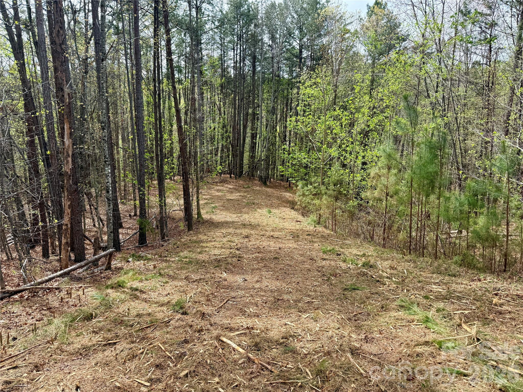 Lot 488 Bella Vista Way Nebo NC 28761