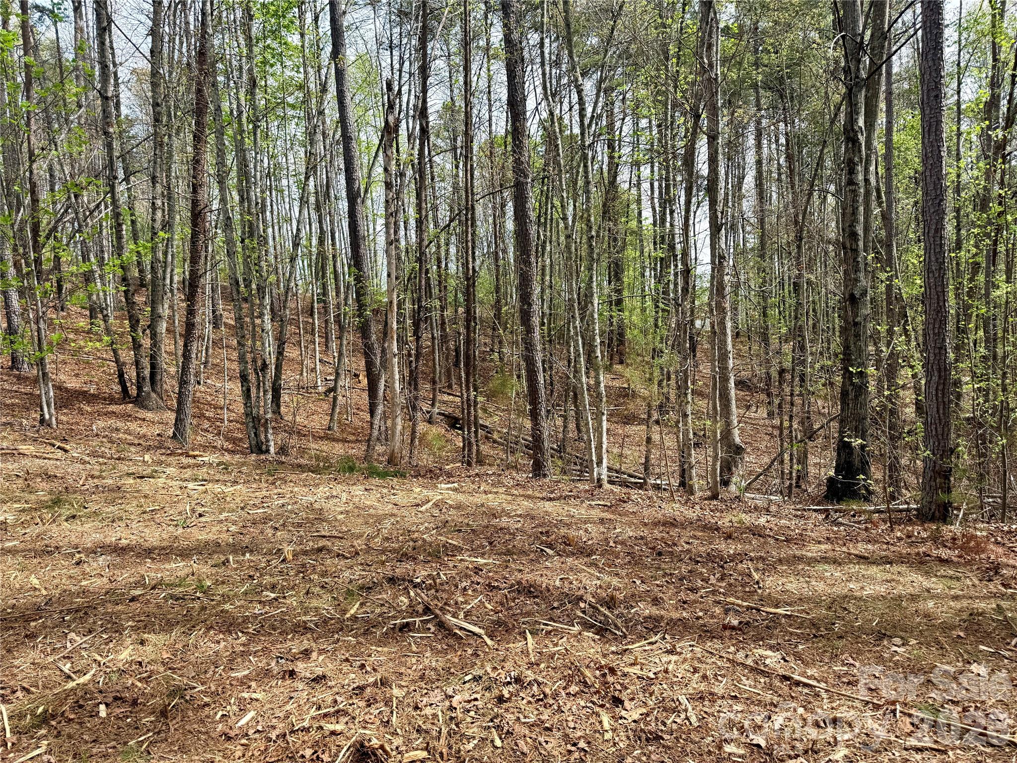 Lot 488 Bella Vista Way Nebo NC 28761