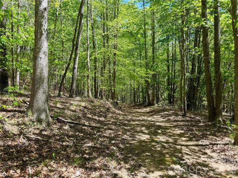 Lot 488 Bella Vista Way Nebo NC 28761