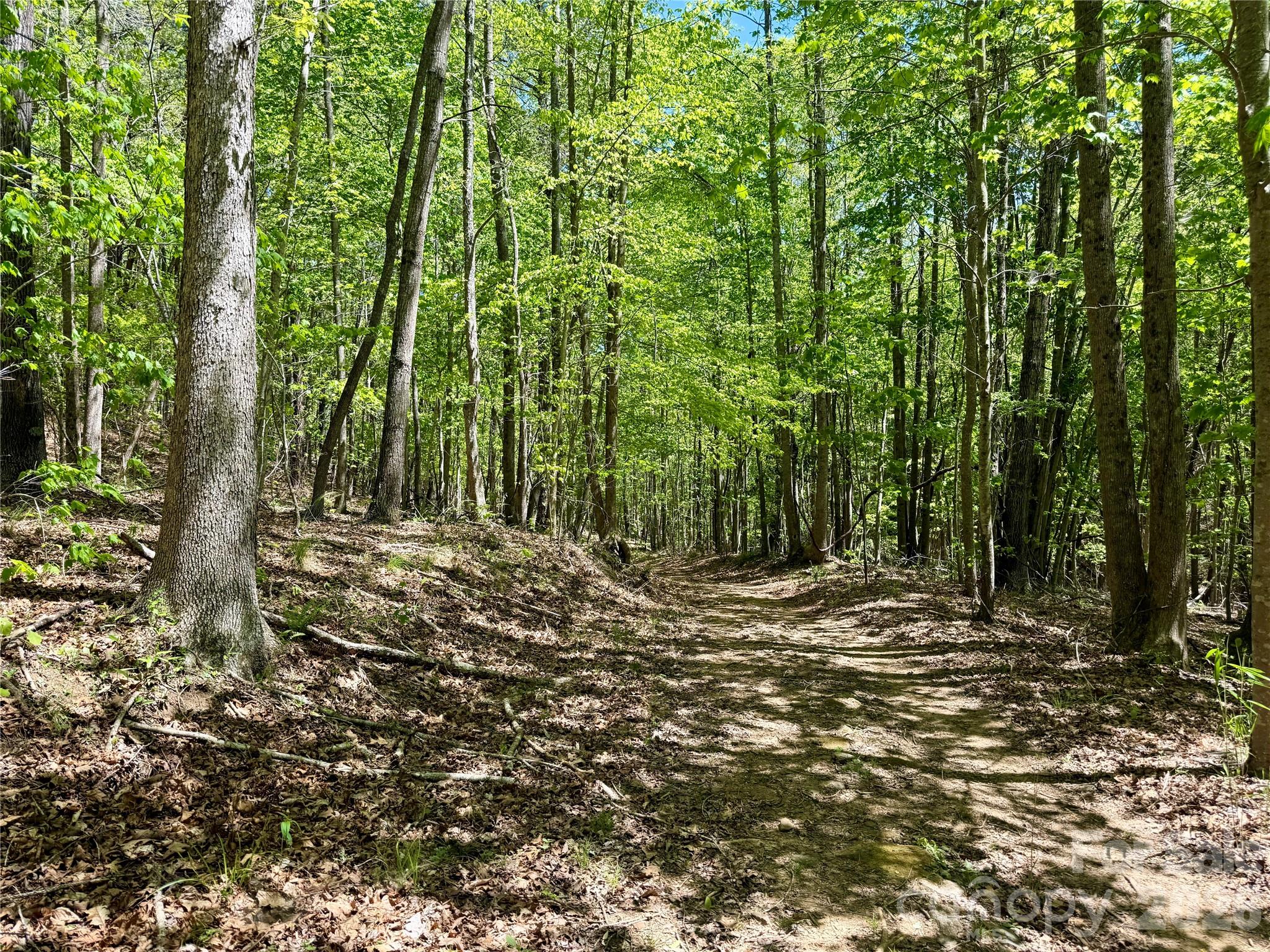 Lot 488 Bella Vista Way Nebo NC 28761