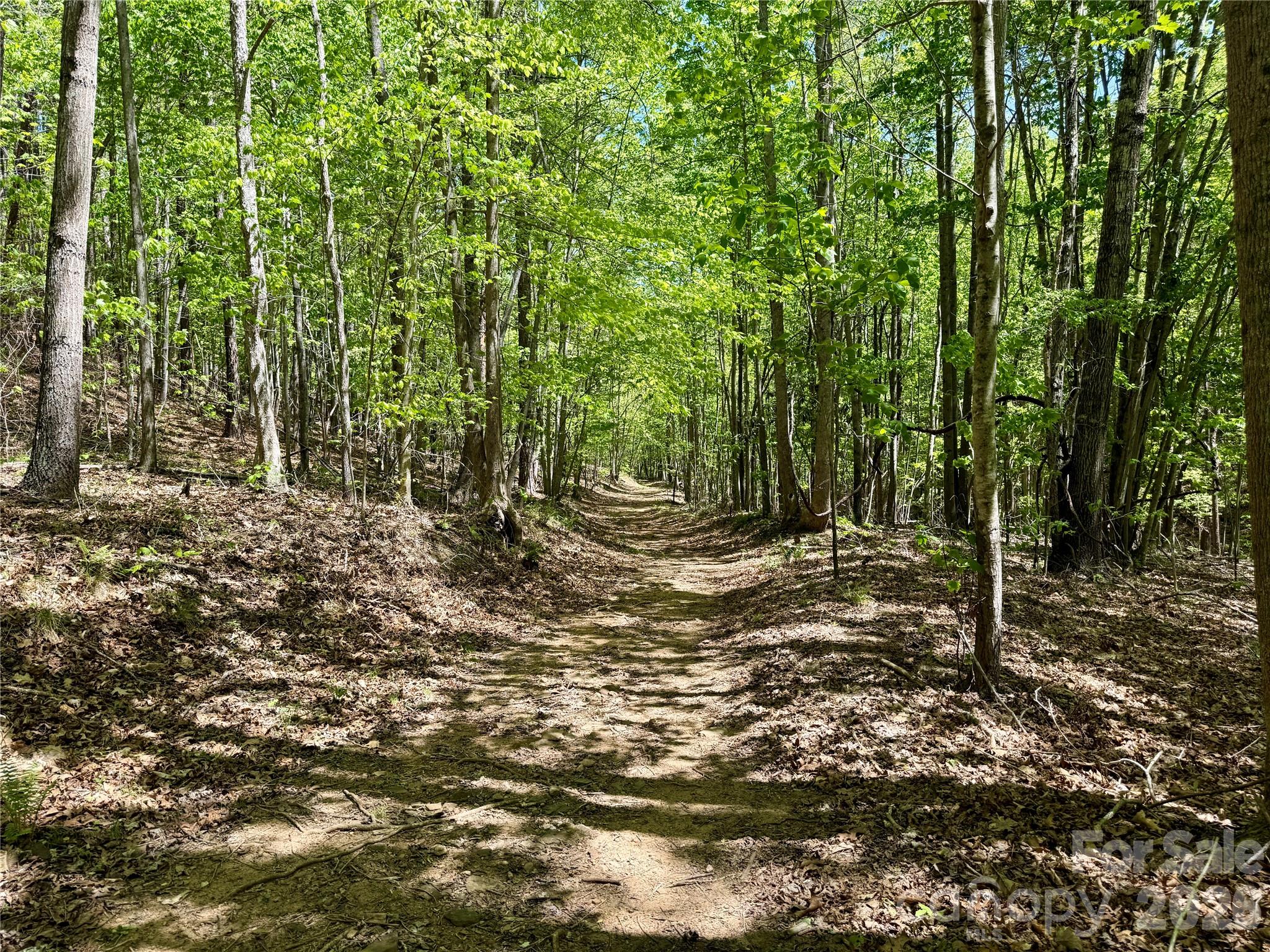 Lot 488 Bella Vista Way Nebo NC 28761