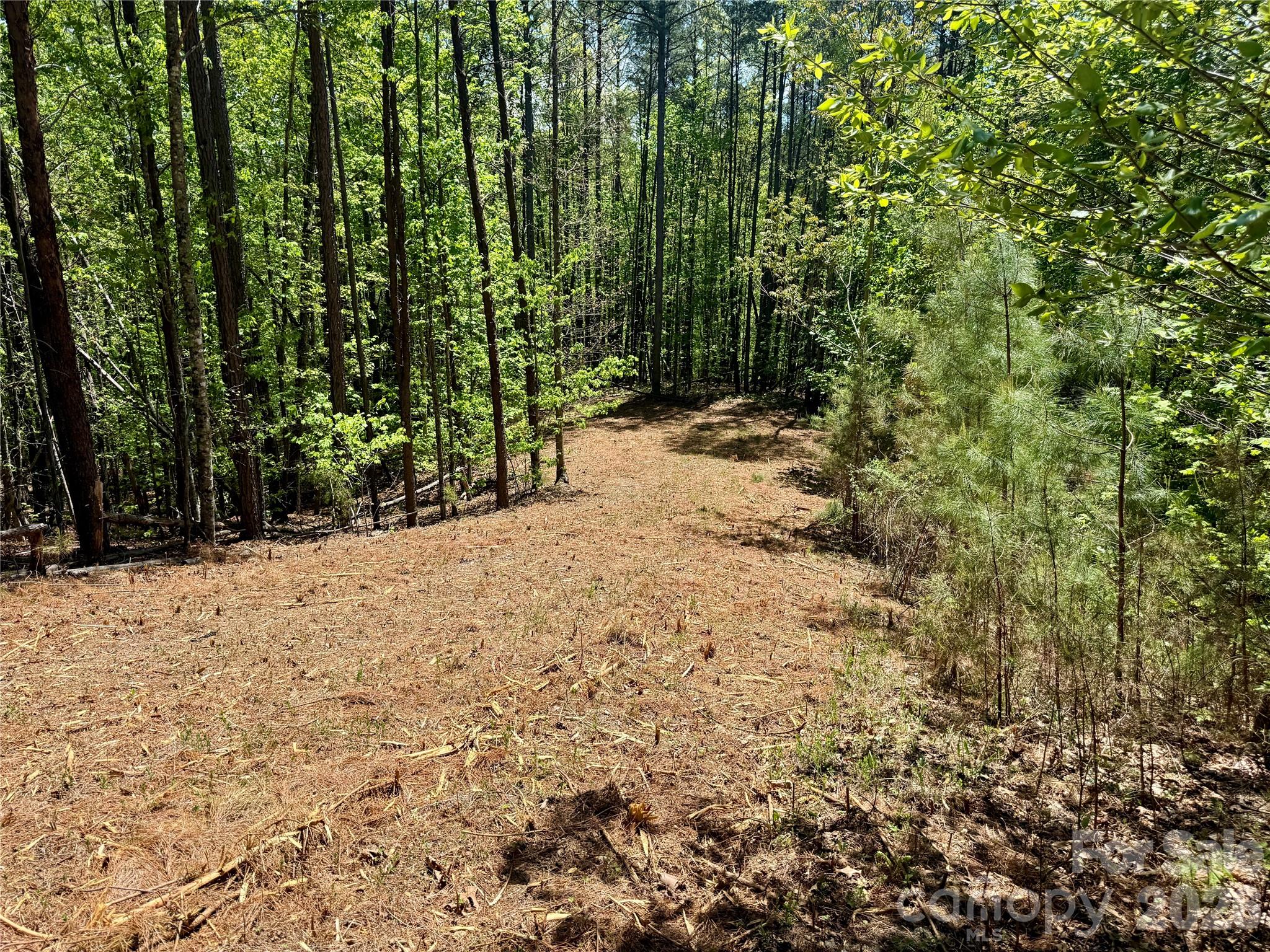 Lot 488 Bella Vista Way Nebo NC 28761