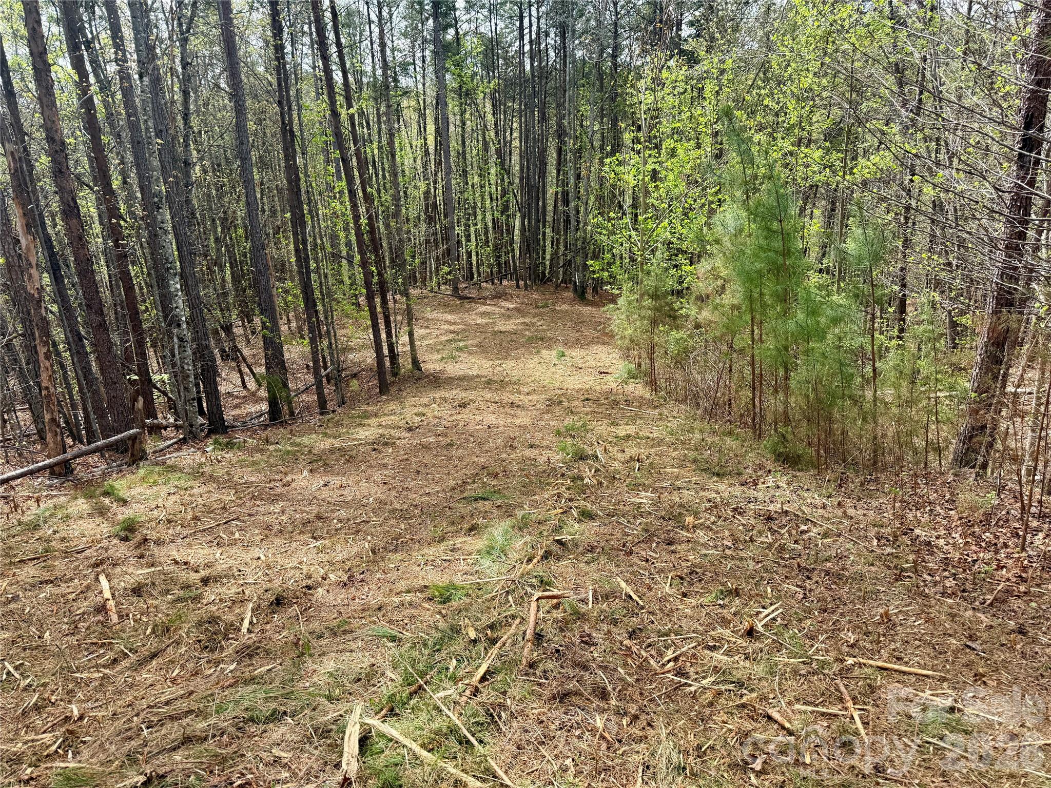 Lot 488 Bella Vista Way Nebo NC 28761