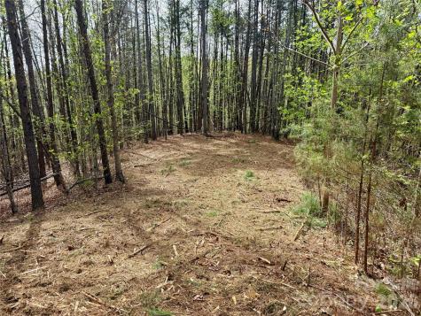 Lot 488 Bella Vista Way Nebo NC 28761