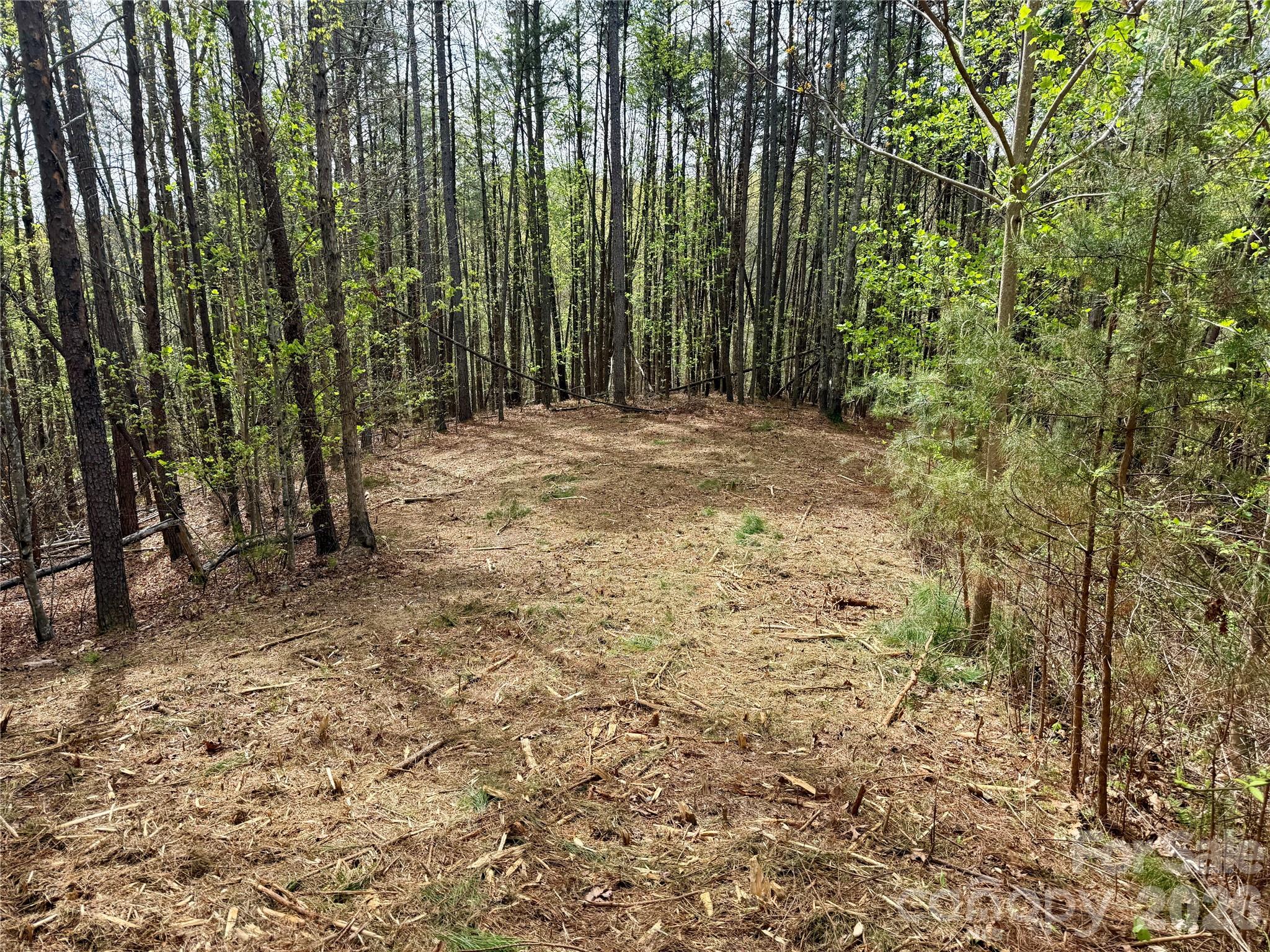 Lot 488 Bella Vista Way Nebo NC 28761