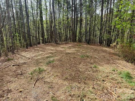 Lot 488 Bella Vista Way Nebo NC 28761