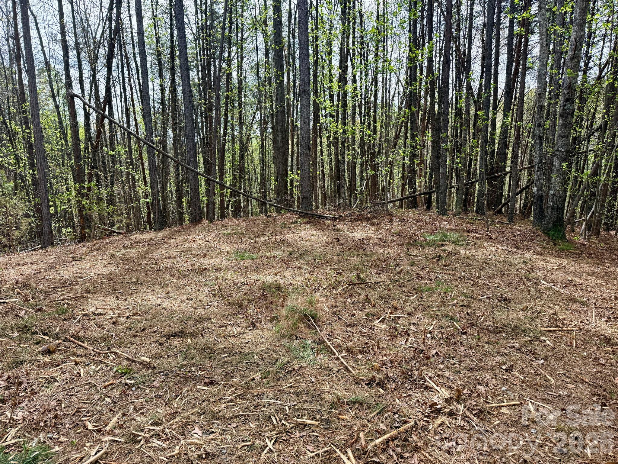 Lot 488 Bella Vista Way Nebo NC 28761