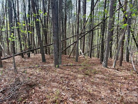 Lot 488 Bella Vista Way Nebo NC 28761
