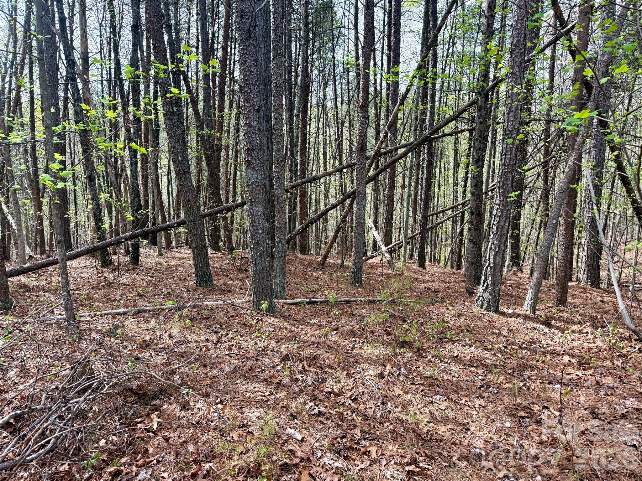 Lot 488 Bella Vista Way Nebo NC 28761