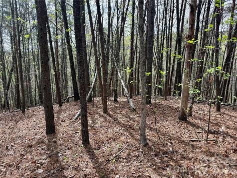 Lot 488 Bella Vista Way Nebo NC 28761