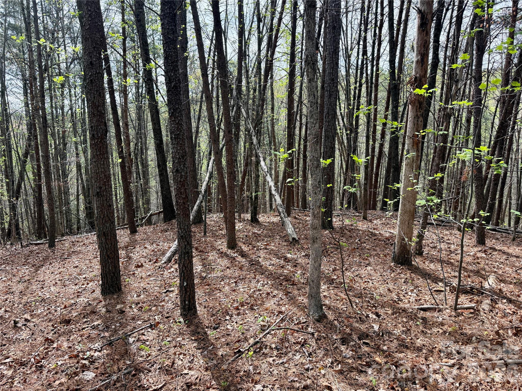Lot 488 Bella Vista Way Nebo NC 28761