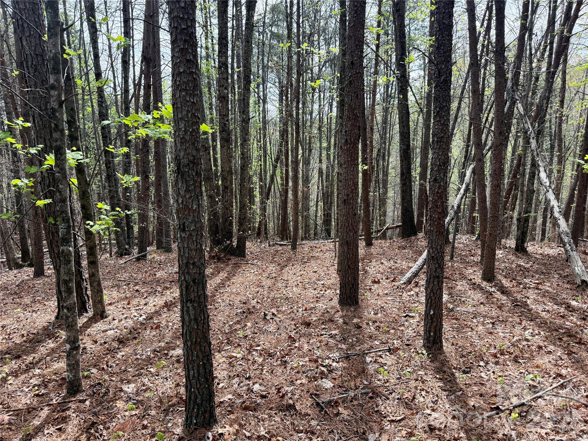 Lot 488 Bella Vista Way Nebo NC 28761