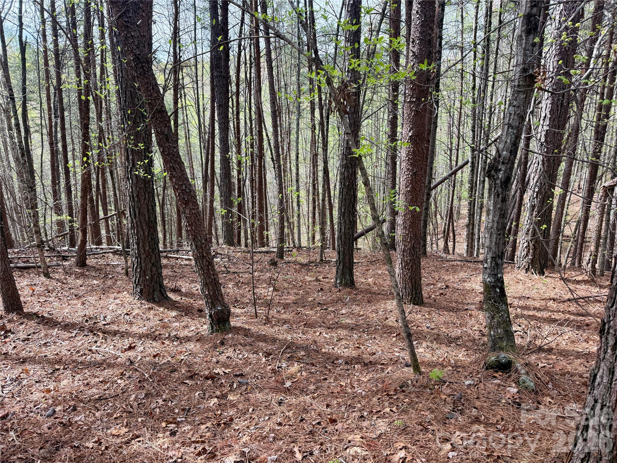 Lot 488 Bella Vista Way Nebo NC 28761