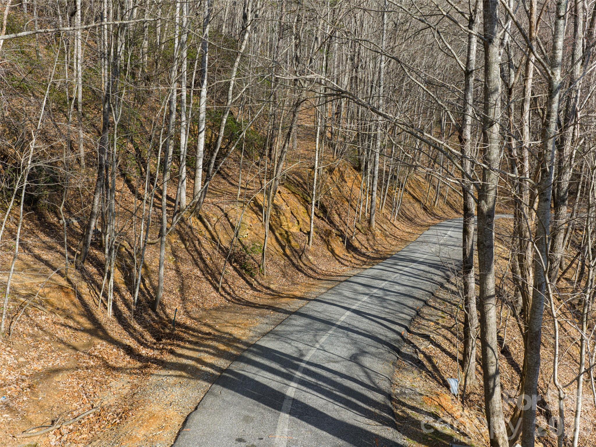 40 Cedar Drive Mills River NC 28759